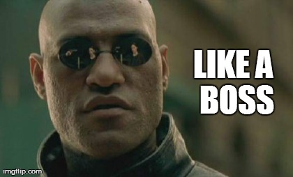 Matrix Morpheus Meme | LIKE
A BOSS | image tagged in memes,matrix morpheus | made w/ Imgflip meme maker