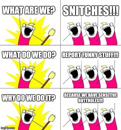 What Do We Want 3 Meme | WHAT ARE WE? SNITCHES!!! WHAT DO WE DO? REPORT FUNNY STUFF!!! WHY DO WE DO IT? BECAUSE WE HAVE SENSITIVE BUTTHOLES!!! | image tagged in memes,what do we want 3 | made w/ Imgflip meme maker