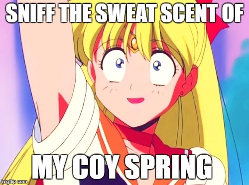 Sweat Scent of Coy Spring | SNIFF THE SWEAT SCENT OF; MY COY SPRING | image tagged in surprised sailor venus,sailor venus,venus,sailor,sweat,spring | made w/ Imgflip meme maker
