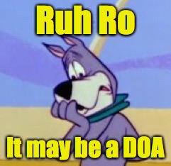 Ruh Ro | Ruh Ro It may be a DOA | image tagged in ruh ro | made w/ Imgflip meme maker