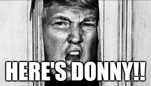 HERE'S DONNY!! | image tagged in donald trump,heres johnny | made w/ Imgflip meme maker