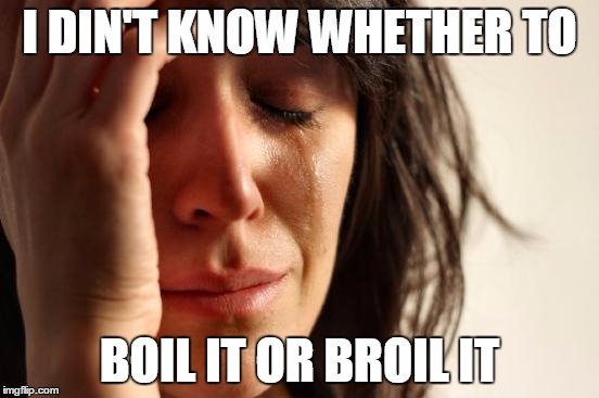 First World Problems Meme | I DIN'T KNOW WHETHER TO BOIL IT OR BROIL IT | image tagged in memes,first world problems | made w/ Imgflip meme maker