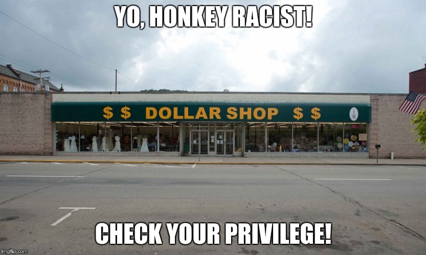 YO, HONKEY RACIST! CHECK YOUR PRIVILEGE! | image tagged in white privilege | made w/ Imgflip meme maker