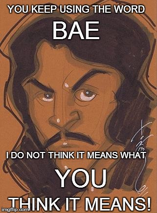 Inigo Montoya thinks.... | BAE; YOU KEEP USING THE WORD; I DO NOT THINK IT MEANS WHAT; YOU; THINK IT MEANS! | image tagged in funny | made w/ Imgflip meme maker