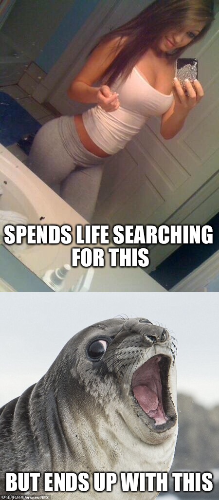 Dating life |  SPENDS LIFE SEARCHING FOR THIS; BUT ENDS UP WITH THIS | image tagged in hot,girl,seal | made w/ Imgflip meme maker
