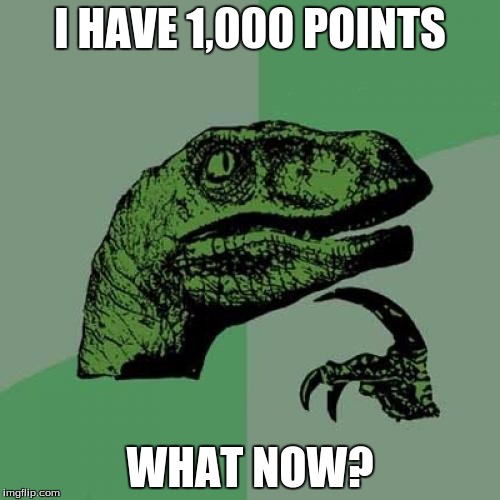 What Now? | I HAVE 1,000 POINTS; WHAT NOW? | image tagged in memes,philosoraptor,funny,points,upvote | made w/ Imgflip meme maker