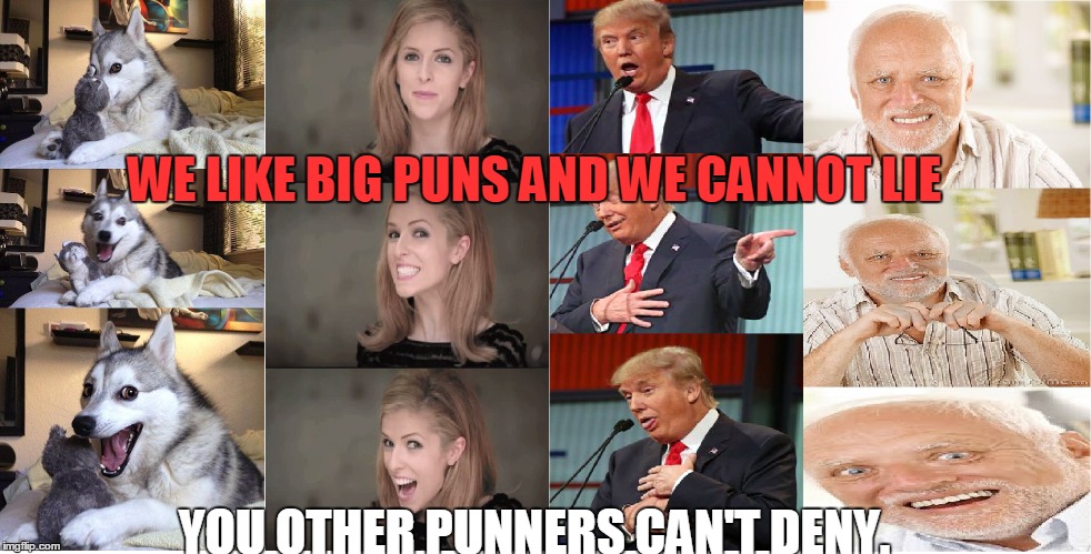 WE LIKE BIG PUNS AND WE CANNOT LIE YOU OTHER PUNNERS CAN'T DENY. | made w/ Imgflip meme maker