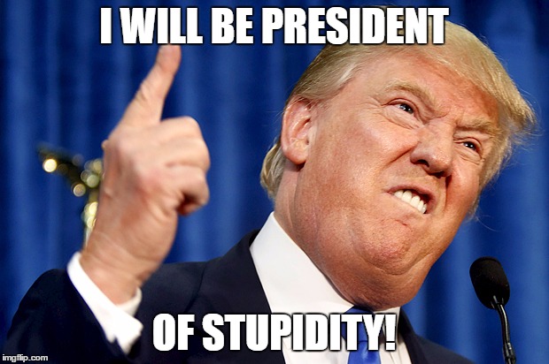 Donald Trump | I WILL BE PRESIDENT; OF STUPIDITY! | image tagged in donald trump | made w/ Imgflip meme maker