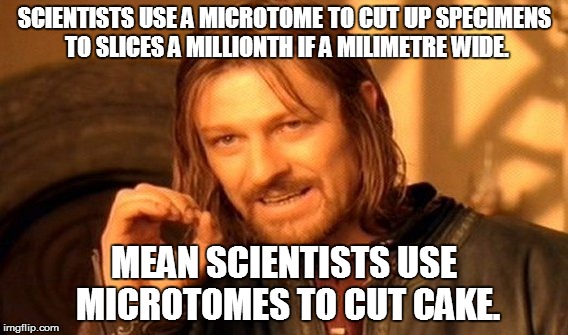 One Does Not Simply | SCIENTISTS USE A MICROTOME TO CUT UP SPECIMENS TO SLICES A MILLIONTH IF A MILIMETRE WIDE. MEAN SCIENTISTS USE MICROTOMES TO CUT CAKE. | image tagged in memes,one does not simply | made w/ Imgflip meme maker