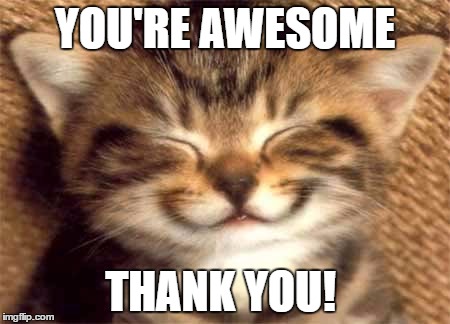 Thank you | YOU'RE AWESOME; THANK YOU! | image tagged in thank you | made w/ Imgflip meme maker