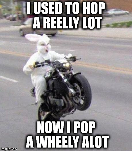 Easter's Coming Fast | I USED TO HOP A REELLY LOT; NOW I POP A WHEELY ALOT | image tagged in easter,easter bunny | made w/ Imgflip meme maker