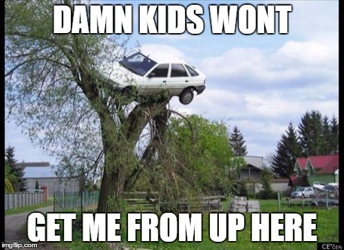 Secure Parking Meme | DAMN KIDS WONT; GET ME FROM UP HERE | image tagged in memes,secure parking | made w/ Imgflip meme maker