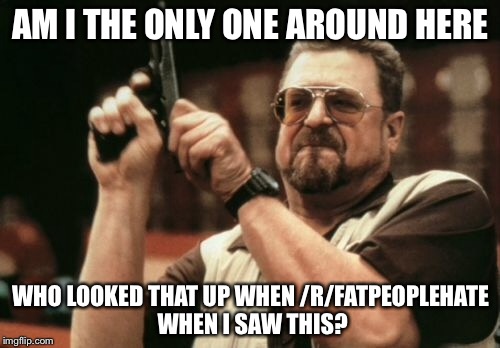 Am I The Only One Around Here Meme | AM I THE ONLY ONE AROUND HERE WHO LOOKED THAT UP WHEN /R/FATPEOPLEHATE WHEN I SAW THIS? | image tagged in memes,am i the only one around here | made w/ Imgflip meme maker
