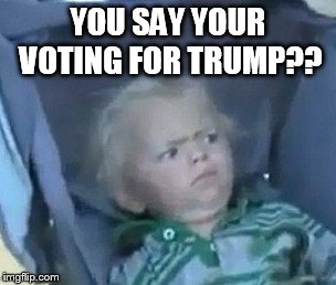 Skeptics baby | YOU SAY YOUR VOTING FOR TRUMP?? | image tagged in trump 2016 | made w/ Imgflip meme maker