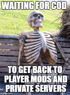 Waiting Skeleton Meme | WAITING FOR COD TO GET BACK TO PLAYER MODS AND PRIVATE SERVERS | image tagged in memes,waiting skeleton | made w/ Imgflip meme maker