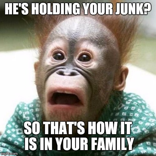 Shocked Monkey | HE'S HOLDING YOUR JUNK? SO THAT'S HOW IT IS IN YOUR FAMILY | image tagged in shocked monkey | made w/ Imgflip meme maker