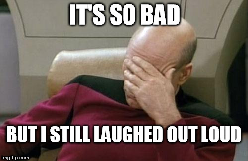 Captain Picard Facepalm Meme | IT'S SO BAD BUT I STILL LAUGHED OUT LOUD | image tagged in memes,captain picard facepalm | made w/ Imgflip meme maker