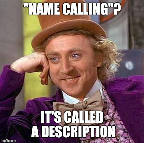 Creepy Condescending Wonka Meme | "NAME CALLING"? IT'S CALLED A DESCRIPTION | image tagged in memes,creepy condescending wonka | made w/ Imgflip meme maker