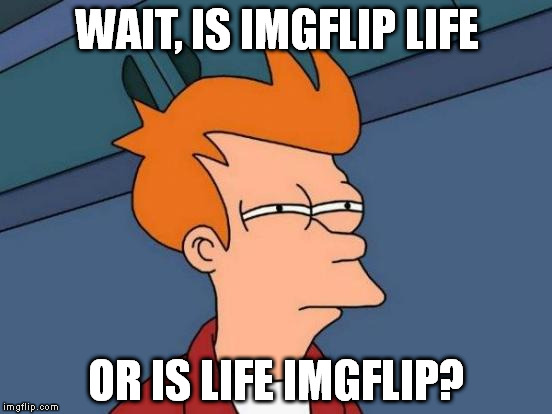 Futurama Fry | WAIT, IS IMGFLIP LIFE; OR IS LIFE IMGFLIP? | image tagged in memes,futurama fry | made w/ Imgflip meme maker