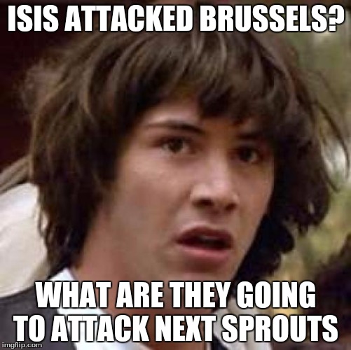 Conspiracy Keanu | ISIS ATTACKED BRUSSELS? WHAT ARE THEY GOING TO ATTACK NEXT SPROUTS | image tagged in memes,conspiracy keanu | made w/ Imgflip meme maker