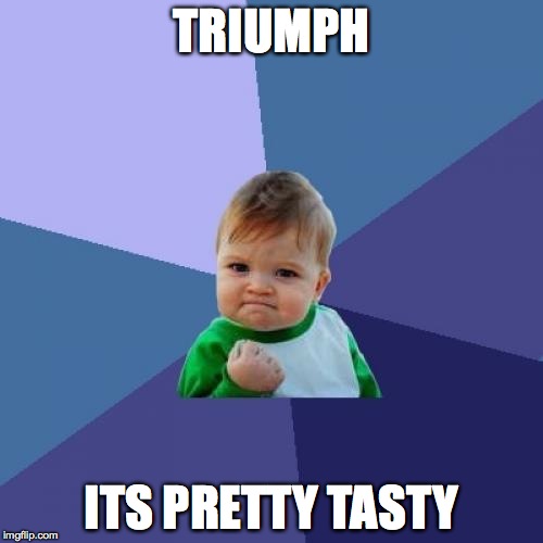 Success Kid Meme | TRIUMPH; ITS PRETTY TASTY | image tagged in memes,success kid | made w/ Imgflip meme maker