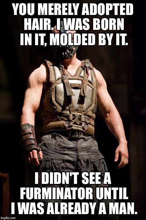 Bane meme | YOU MERELY ADOPTED HAIR. I WAS BORN IN IT, MOLDED BY IT. I DIDN'T SEE A FURMINATOR UNTIL I WAS ALREADY A MAN. | image tagged in bane meme | made w/ Imgflip meme maker