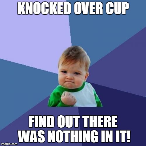 Success Kid Meme | KNOCKED OVER CUP; FIND OUT THERE WAS NOTHING IN IT! | image tagged in memes,success kid | made w/ Imgflip meme maker