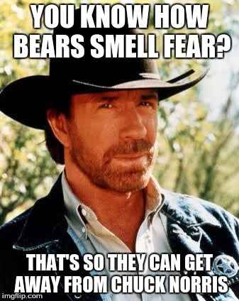 Chuck Norris Meme |  YOU KNOW HOW BEARS SMELL FEAR? THAT'S SO THEY CAN GET AWAY FROM CHUCK NORRIS | image tagged in chuck norris | made w/ Imgflip meme maker