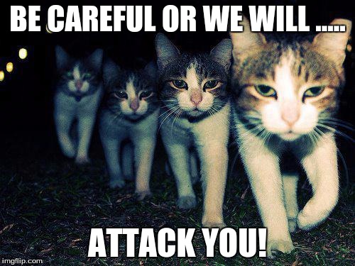 Wrong Neighboorhood Cats | BE CAREFUL OR WE WILL ..... ATTACK YOU! | image tagged in memes,wrong neighboorhood cats | made w/ Imgflip meme maker