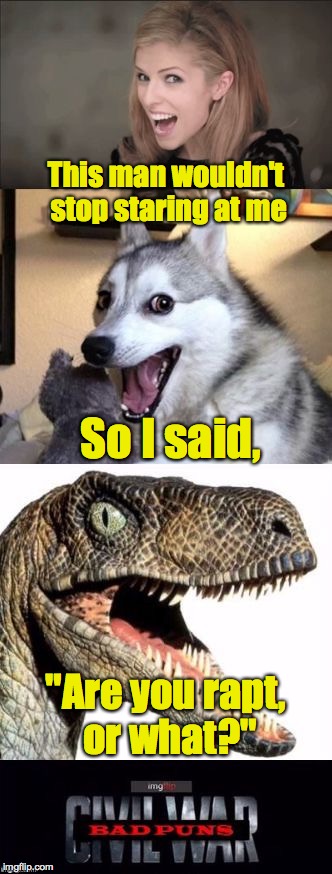 Template wars | This man wouldn't stop staring at me; So I said, "Are you rapt, or what?" | image tagged in imgflip anna kendrick bad pun dog philosoraptor bad puns civil w | made w/ Imgflip meme maker