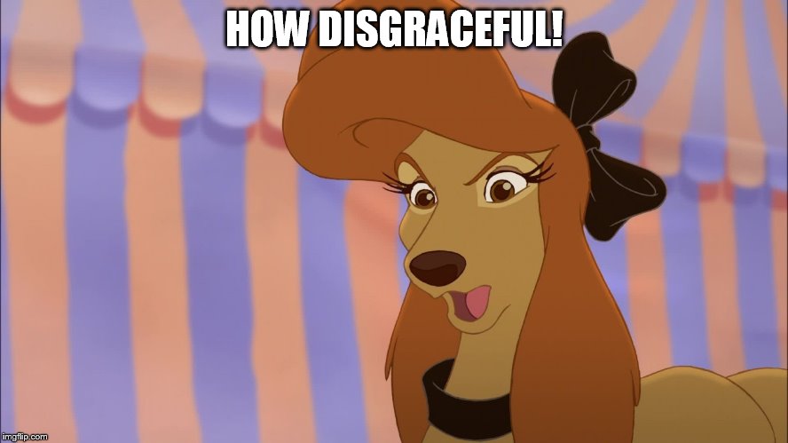 How Disgraceful! | HOW DISGRACEFUL! | image tagged in dixie,memes,disney,the fox and the hound 2,reba mcentire,dog | made w/ Imgflip meme maker