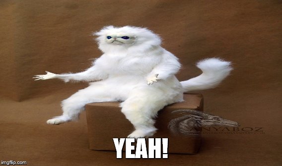 YEAH! | made w/ Imgflip meme maker