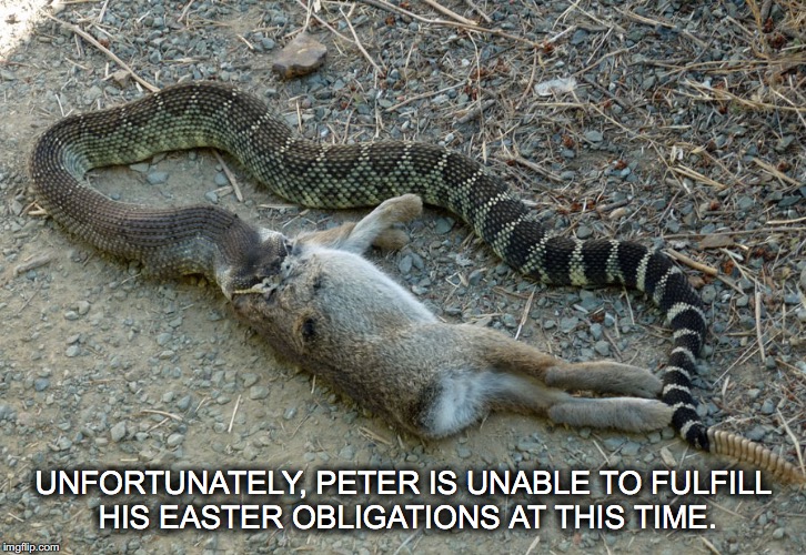 Easter is Cancelled | UNFORTUNATELY, PETER IS UNABLE TO FULFILL HIS EASTER OBLIGATIONS AT THIS TIME. | image tagged in snake,rabbit,peter is unable to fulfill his easter obligations | made w/ Imgflip meme maker