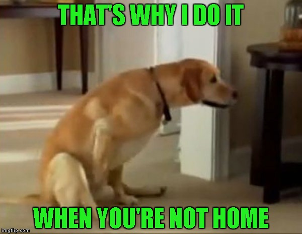 THAT'S WHY I DO IT WHEN YOU'RE NOT HOME | made w/ Imgflip meme maker