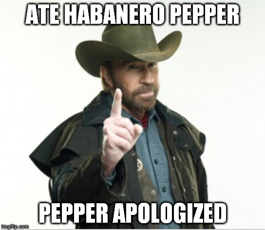This snack brought to you by Johnson & Johnson's | ATE HABANERO PEPPER; PEPPER APOLOGIZED | image tagged in no more tears,chuck norris | made w/ Imgflip meme maker
