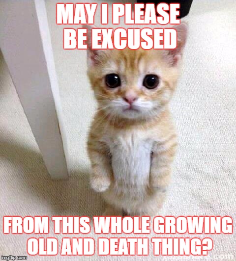 Cute Cat | MAY I PLEASE BE EXCUSED; FROM THIS WHOLE GROWING OLD AND DEATH THING? | image tagged in memes,cute cat | made w/ Imgflip meme maker