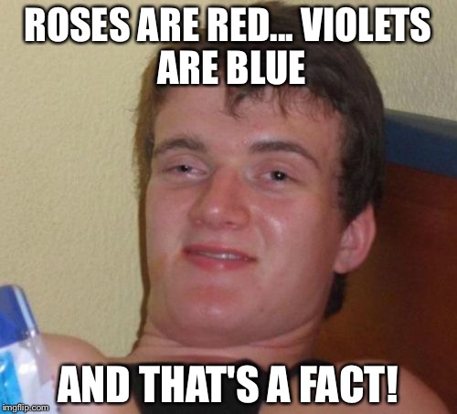 10 Guy | ROSES ARE RED...
VIOLETS ARE BLUE; AND THAT'S A FACT! | image tagged in memes,10 guy | made w/ Imgflip meme maker