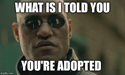What if I told you... | WHAT IS I TOLD YOU; YOU'RE ADOPTED | image tagged in memes,matrix morpheus | made w/ Imgflip meme maker