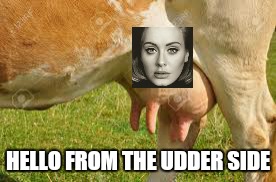 Hello from the udder side  | HELLO FROM THE UDDER SIDE | image tagged in adele hello | made w/ Imgflip meme maker