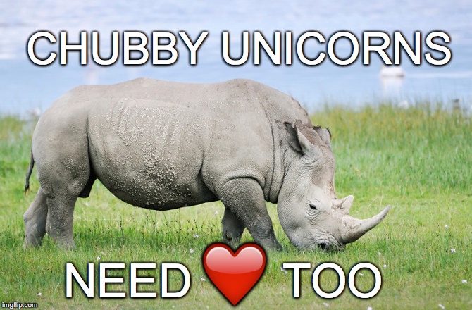 Someone spent a little too much time at Candy Mountain... | CHUBBY UNICORNS; NEED       TOO; ❤️ | image tagged in unicorn,chubby,need love | made w/ Imgflip meme maker