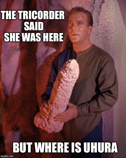 Kirk dildo | THE TRICORDER SAID SHE WAS HERE; BUT WHERE IS UHURA | image tagged in kirk dildo | made w/ Imgflip meme maker