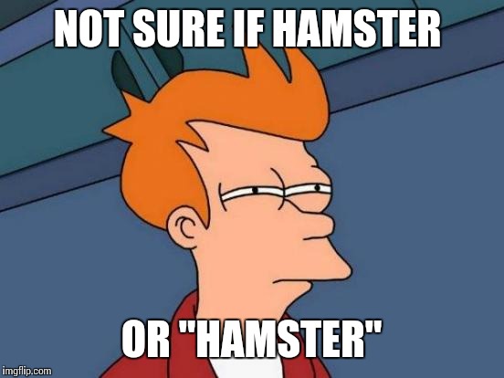 Futurama Fry Meme | NOT SURE IF HAMSTER OR "HAMSTER" | image tagged in memes,futurama fry | made w/ Imgflip meme maker