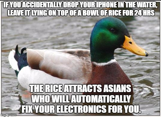 Actual Advice Mallard | IF YOU ACCIDENTALLY DROP YOUR IPHONE IN THE WATER, LEAVE IT LYING ON TOP OF A BOWL OF RICE FOR 24 HRS; THE RICE ATTRACTS ASIANS WHO WILL AUTOMATICALLY FIX YOUR ELECTRONICS FOR YOU. | image tagged in memes,actual advice mallard | made w/ Imgflip meme maker