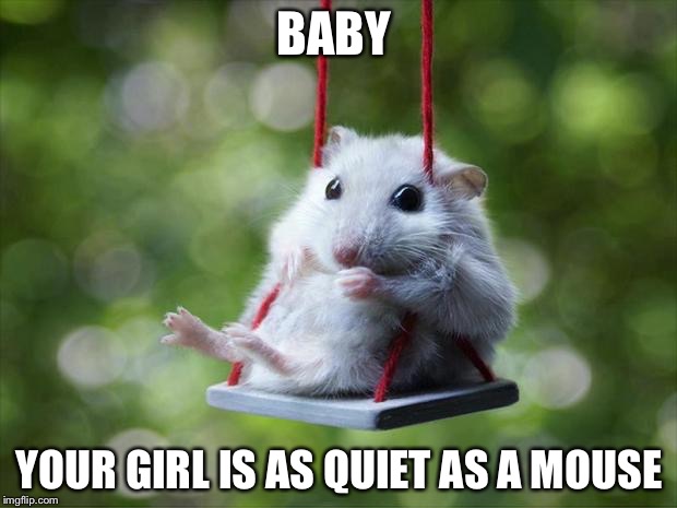 Mouse swing | BABY; YOUR GIRL IS AS QUIET AS A MOUSE | image tagged in mouse swing | made w/ Imgflip meme maker