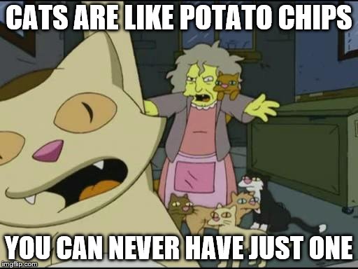 Said the Crazy Cat Lady | CATS ARE LIKE POTATO CHIPS; YOU CAN NEVER HAVE JUST ONE | image tagged in crazy cat lady | made w/ Imgflip meme maker