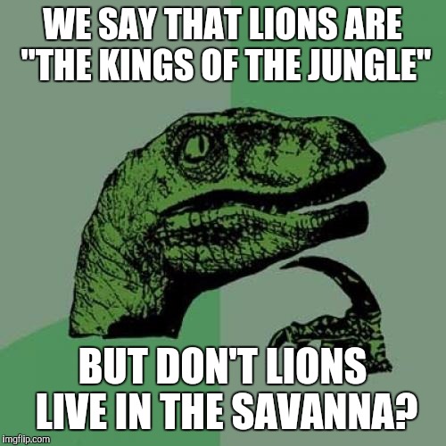 The Kings of the Jungle? | WE SAY THAT LIONS ARE "THE KINGS OF THE JUNGLE"; BUT DON'T LIONS LIVE IN THE SAVANNA? | image tagged in memes,funny,philosoraptor | made w/ Imgflip meme maker