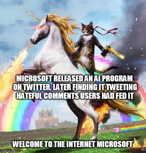 Microsoft AI hates people and other wonderful things I learned on twitter. | MICROSOFT RELEASED AN AI PROGRAM ON TWITTER, LATER FINDING IT TWEETING HATEFUL COMMENTS USERS HAD FED IT; WELCOME TO THE INTERNET MICROSOFT | image tagged in memes,welcome to the internets | made w/ Imgflip meme maker