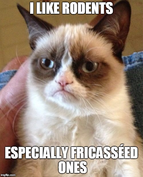 Grumpy Cat Meme | I LIKE RODENTS ESPECIALLY FRICASSÉED ONES | image tagged in memes,grumpy cat | made w/ Imgflip meme maker