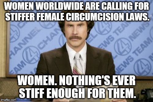 Ron Burgundy Meme | WOMEN WORLDWIDE ARE CALLING FOR STIFFER FEMALE CIRCUMCISION LAWS. WOMEN. NOTHING'S EVER STIFF ENOUGH FOR THEM. | image tagged in memes,ron burgundy | made w/ Imgflip meme maker