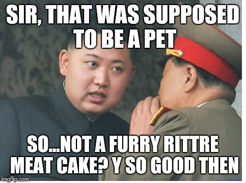 SIR, THAT WAS SUPPOSED TO BE A PET SO...NOT A FURRY RITTRE MEAT CAKE? Y SO GOOD THEN | made w/ Imgflip meme maker